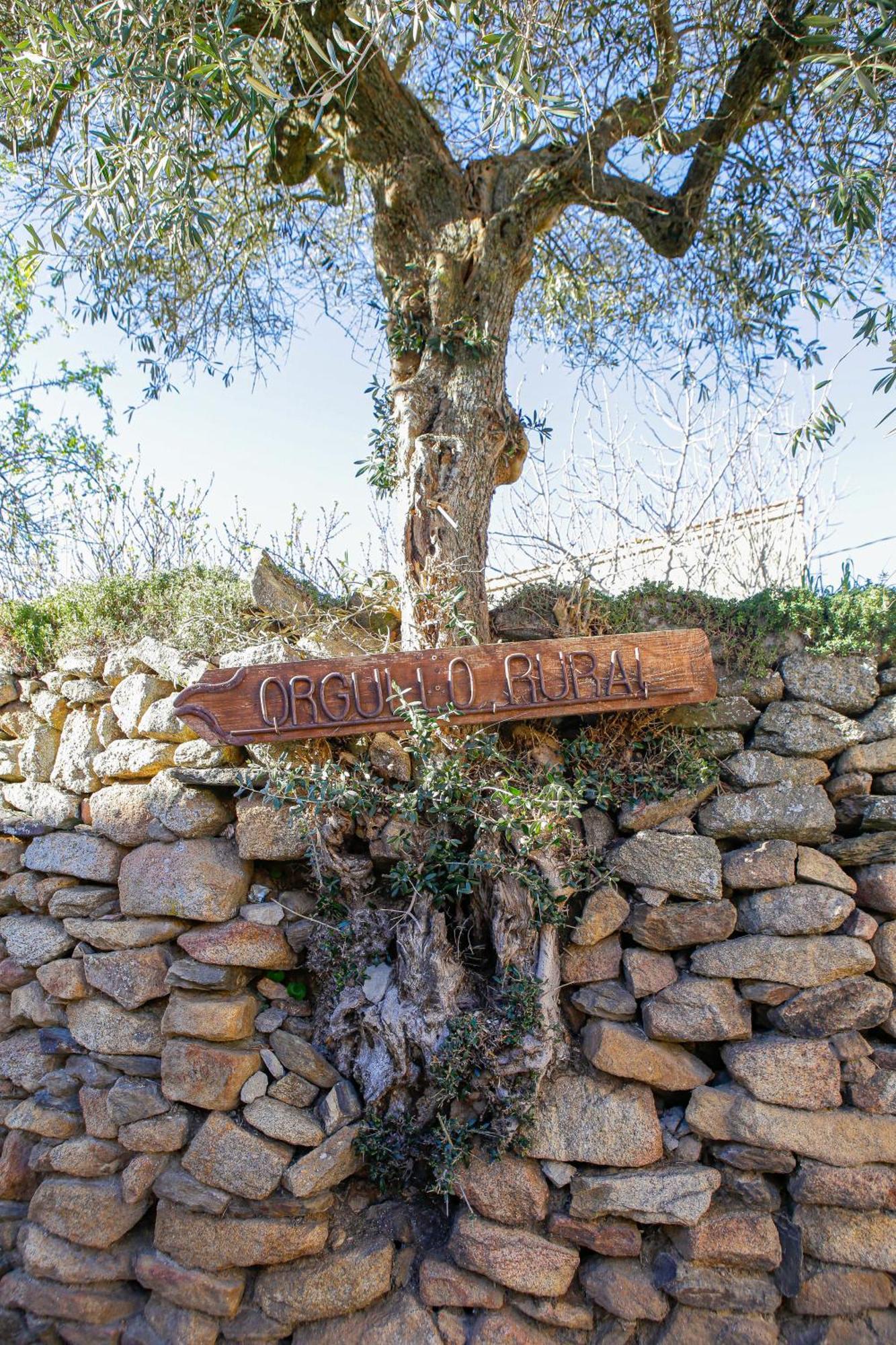Bermellar Casa Rural Therma Agreste מראה חיצוני תמונה